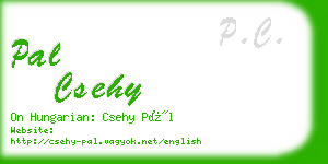 pal csehy business card